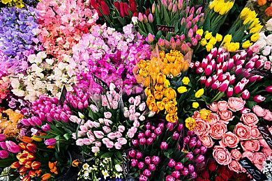 微软证实Xbox无线手柄已在多国出现缺货情形