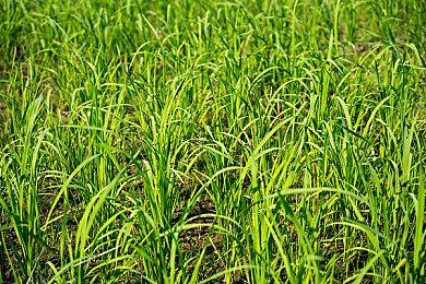 外界对《战地2042》跳票的担忧 导致EA估价下跌7%